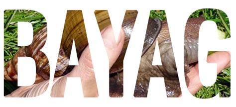 BAYAG: Tagalog.